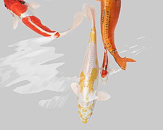 《刺客信条：英灵殿》“末世曙光”DLC 198元 需单独购买